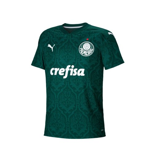 camisa infantil palmeiras puma